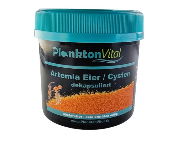 Artemia Eier dekapsuliert