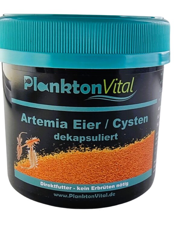 Artemia Eier dekapsuliert